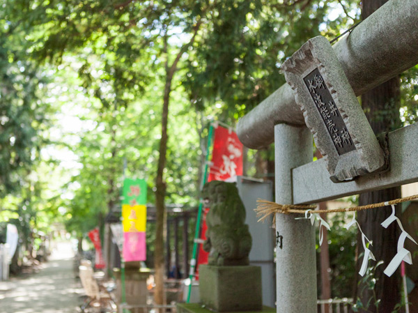 Surrounding environment. Kodaira Shinmeiguu Miya (about 820m / Walk about 11 minutes)