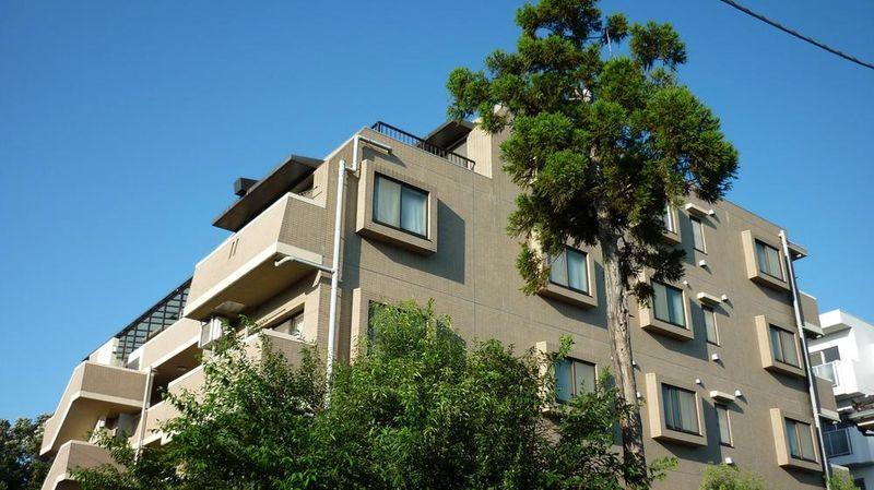 Local appearance photo. appearance