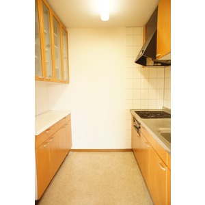 Kitchen. The room is a picture of the same type.