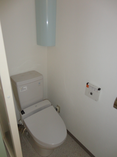 Toilet. Clean water around.