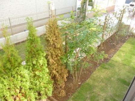 Garden. Local (11 May 2013) Shooting