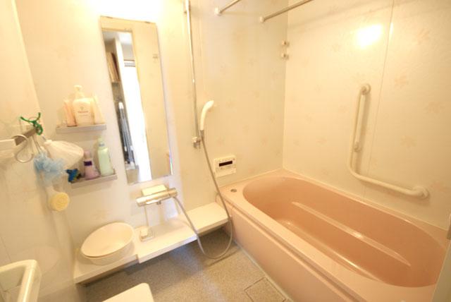 Bathroom. Indoor (12 May 2013) Shooting