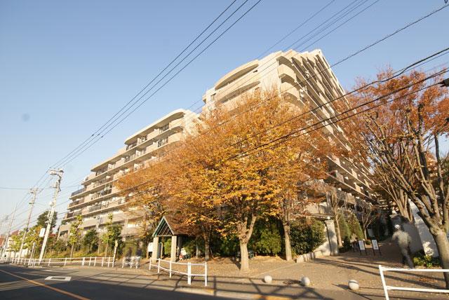 Local appearance photo. Local (12 May 2013) Shooting