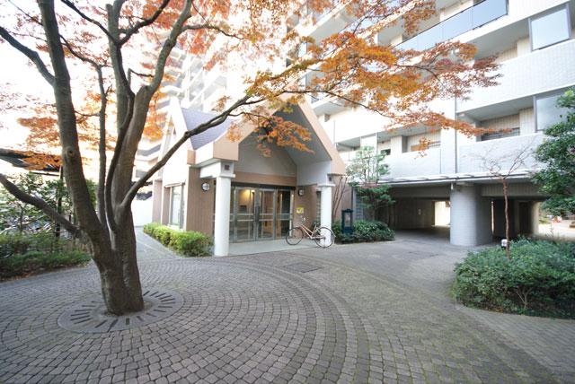 Entrance. Common areas