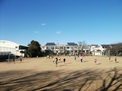 Primary school. Deng thirteenth to elementary school (elementary school) 1082m