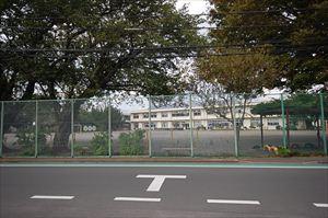 Primary school. Deng Xiaoping Municipal twelfth to elementary school 106m