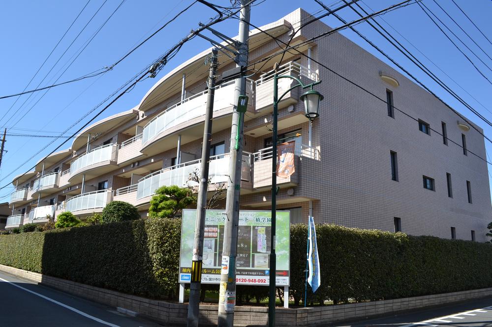 Local appearance photo. Local (10 May 2013) Shooting