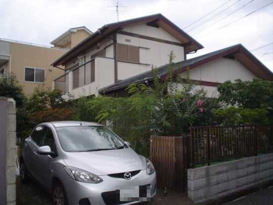 Local land photo. Appearance 1