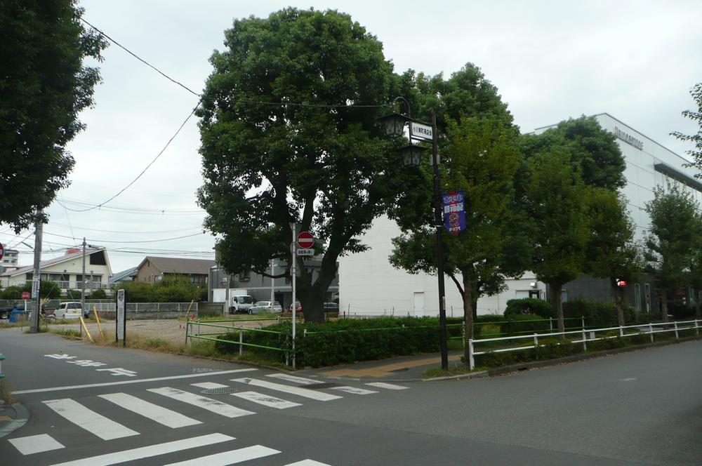 Local photos, including front road. A quiet residential area facing the green road