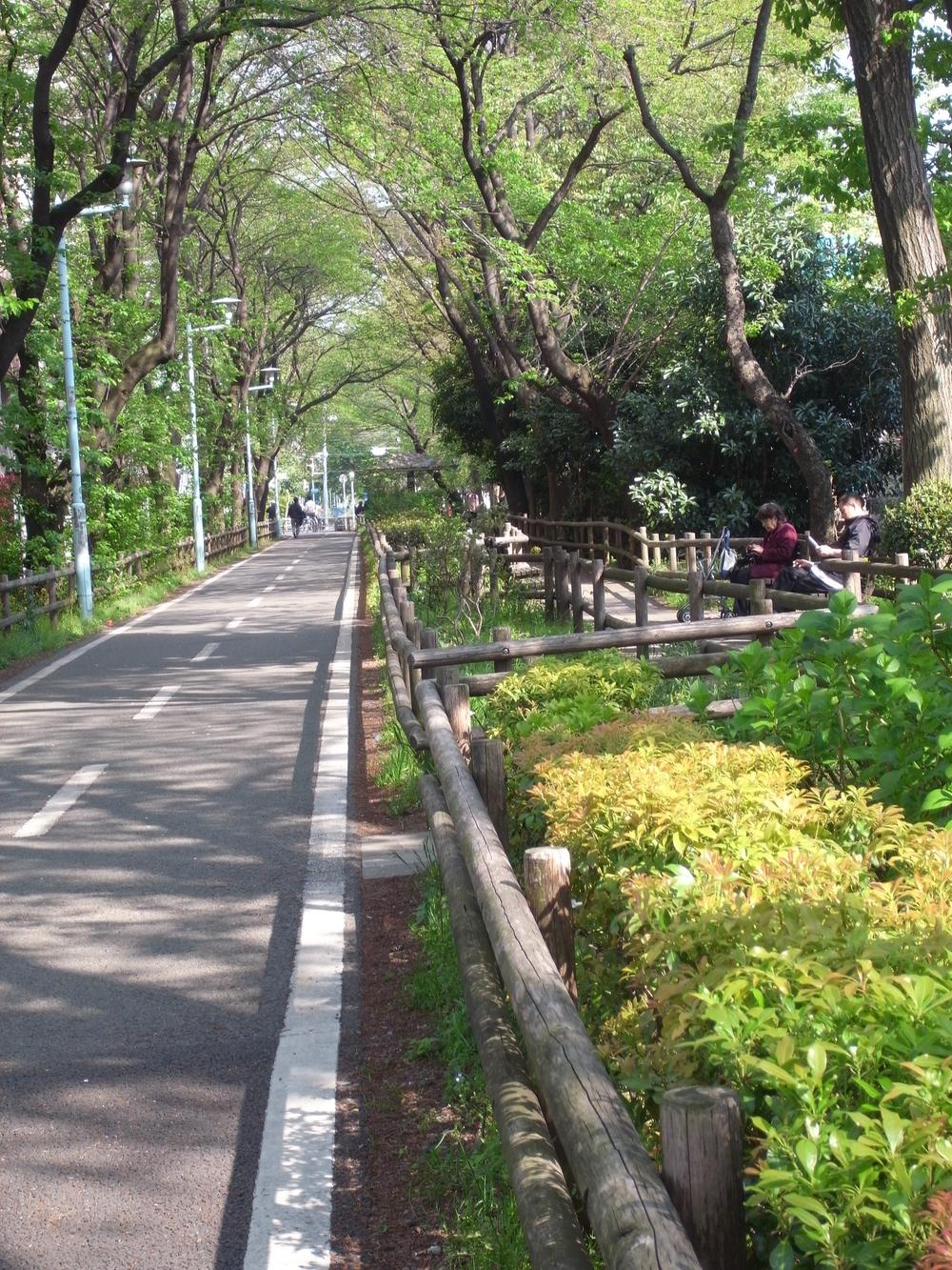 Other. Hanakoganei Station
