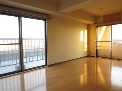 Living and room. Two-sided lighting