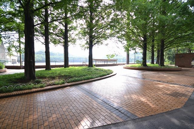 park. Deng to Central Park 1100m