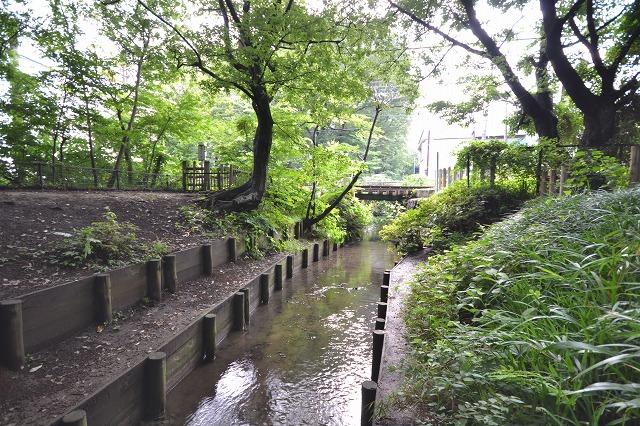 Streets around. To Tamagawa 790m