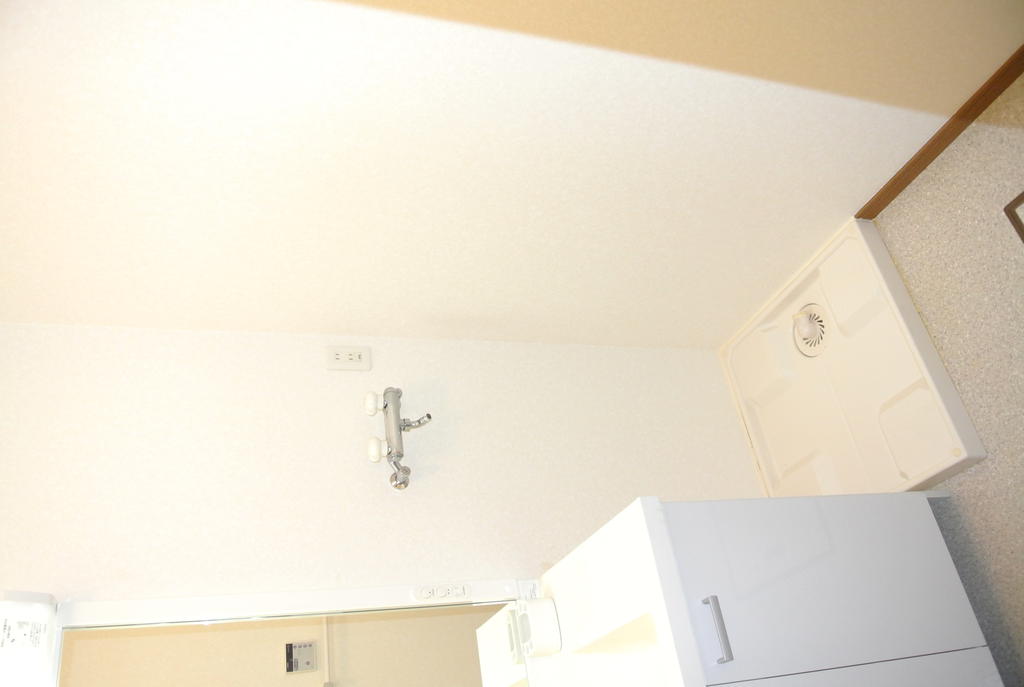 Washroom. Laundry Area