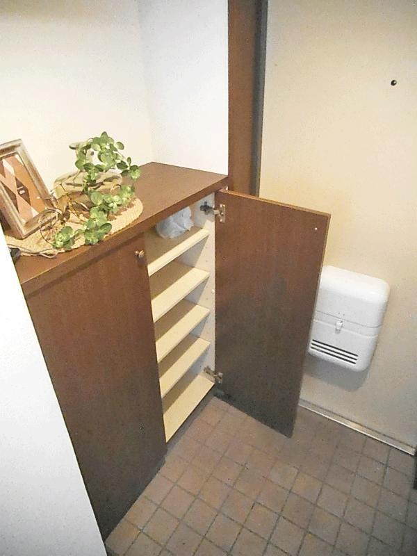 Other introspection. Cupboard