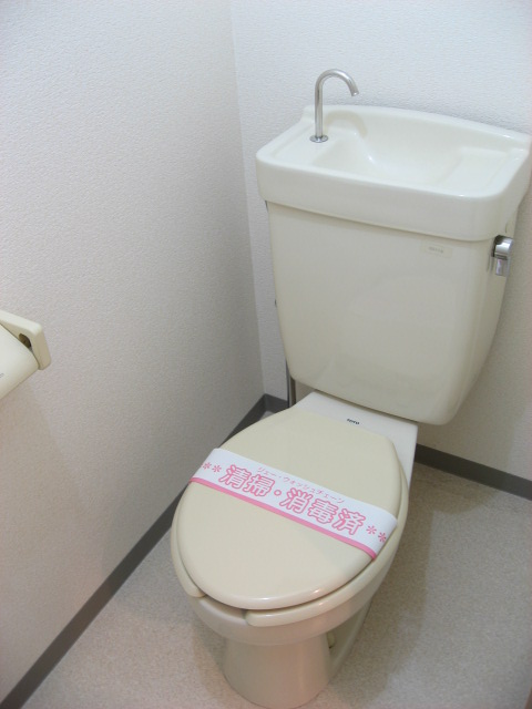 Toilet. It settles down space!