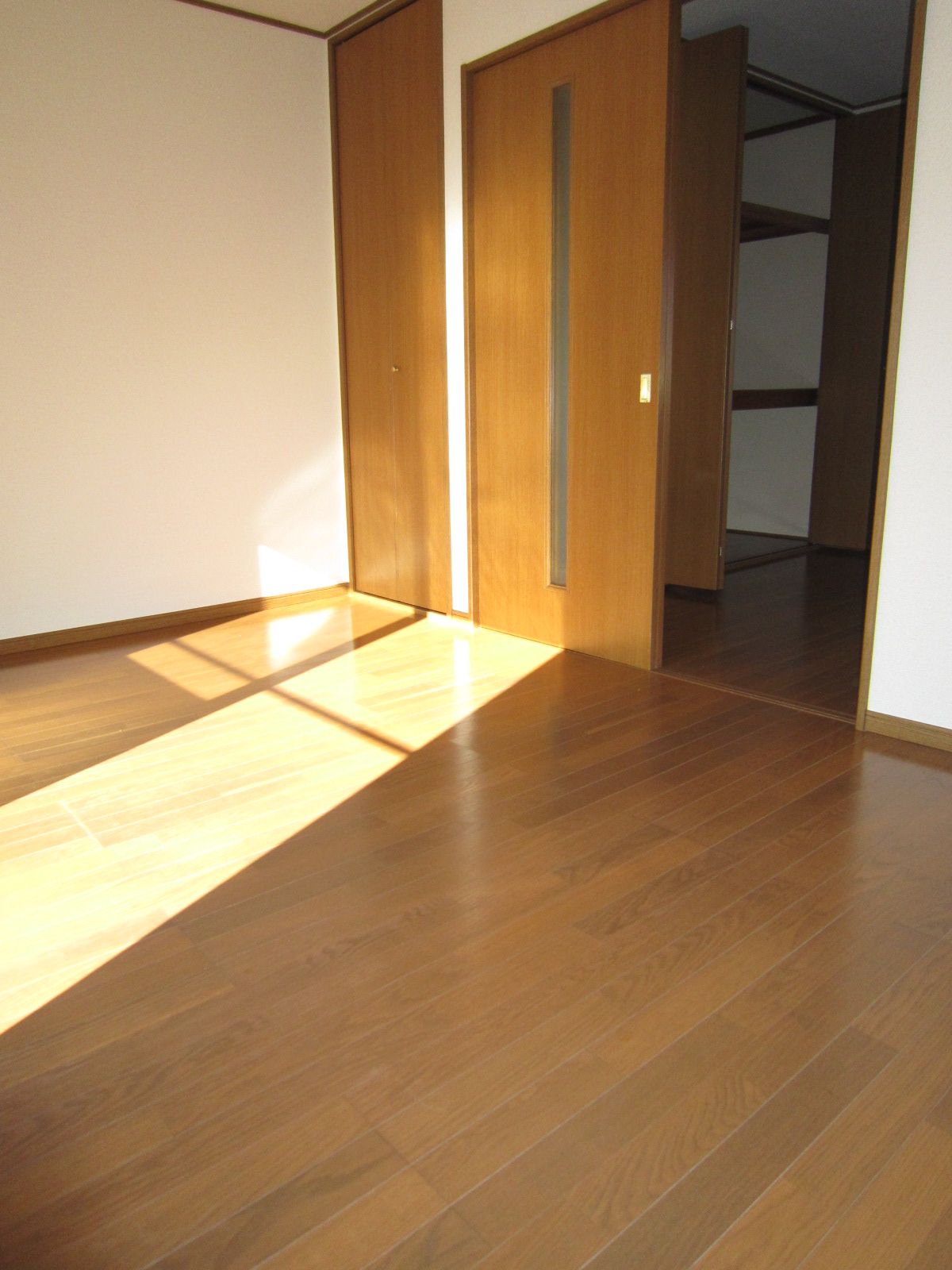Living and room. The living room is sunny preeminent!