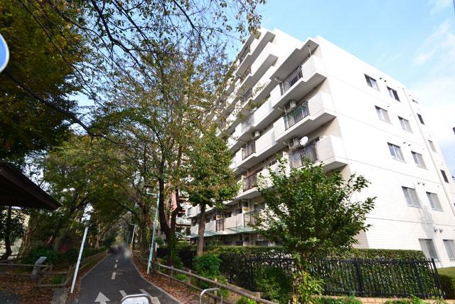 Local appearance photo. Local (11 May 2013) Shooting