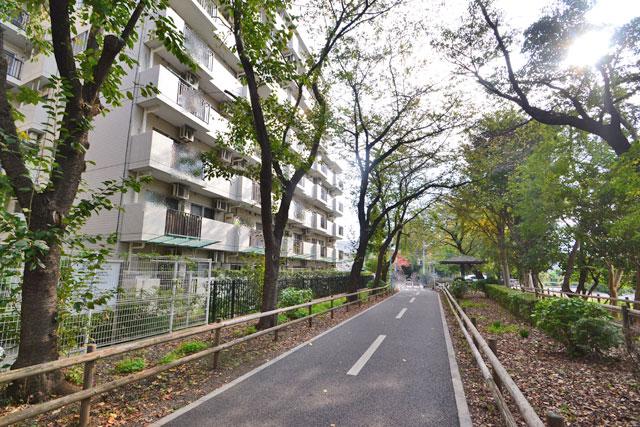 Local appearance photo. Local (11 May 2013) Shooting