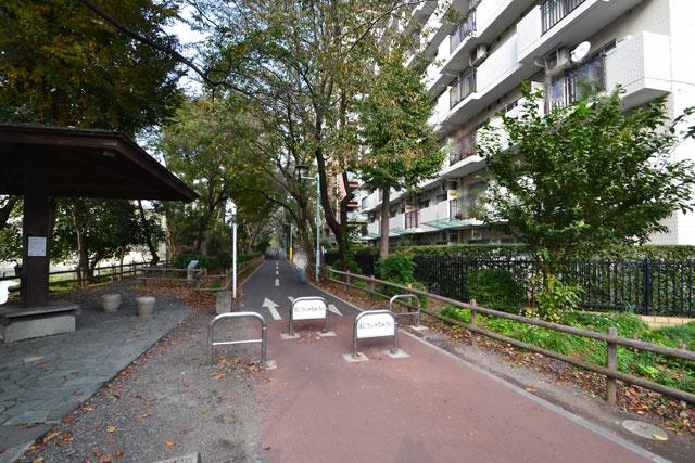 Local appearance photo. Local (11 May 2013) Shooting