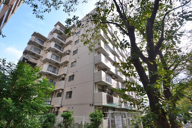 Local appearance photo. Local (11 May 2013) Shooting