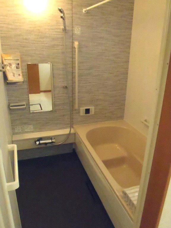 Bathroom. Indoor (11 May 2013) Shooting