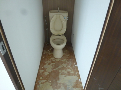 Toilet