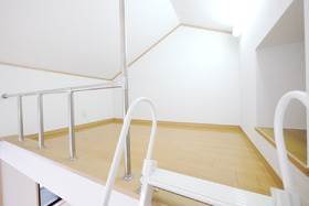 Living and room. Loft