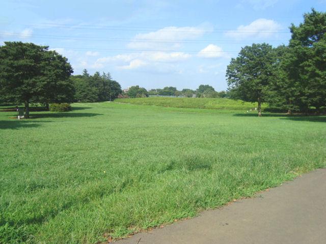 Other. Walk to the Koganei park about 5 minutes