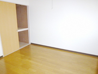Other room space. Western style room