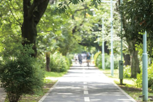 Other. The fresh green of the season, Green gradient beautiful Tamako bike paths (1350m). Living environment local peripheral is flowing calm time. Fun cycling in the family mevalonolactone, It might be discovered a new face of the city.