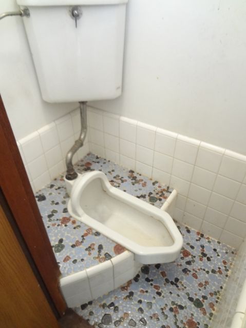 Toilet. Toilets are squat