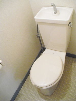 Toilet. Toilet