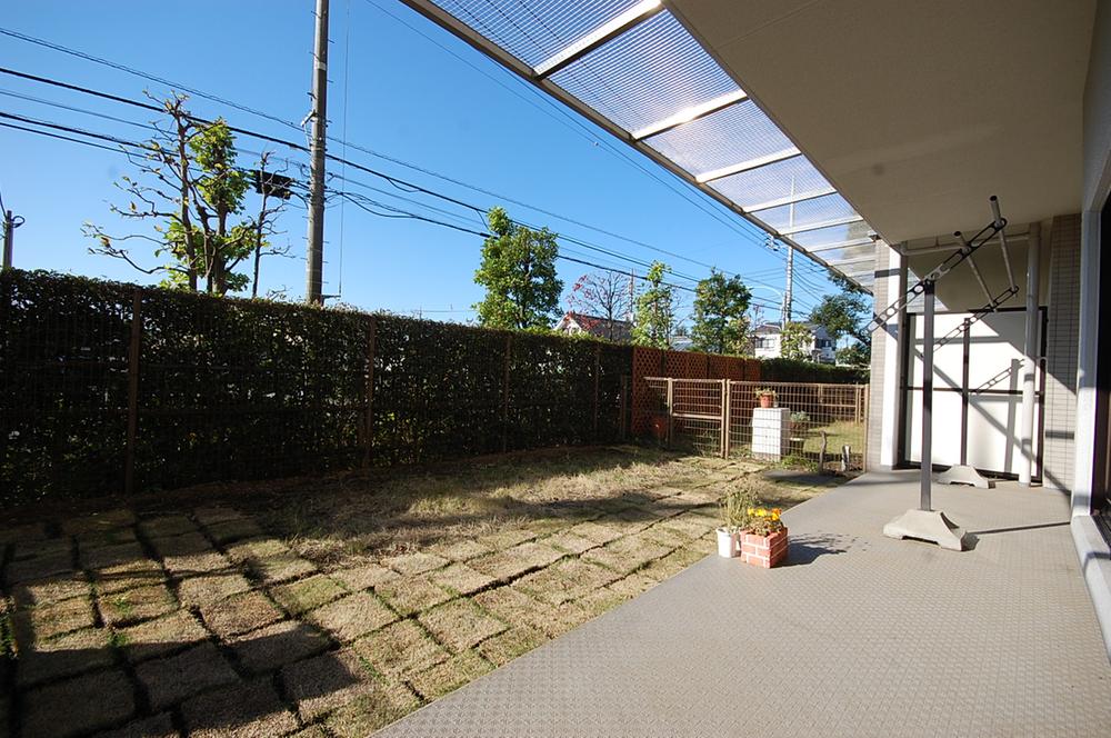 Garden. Local Photos