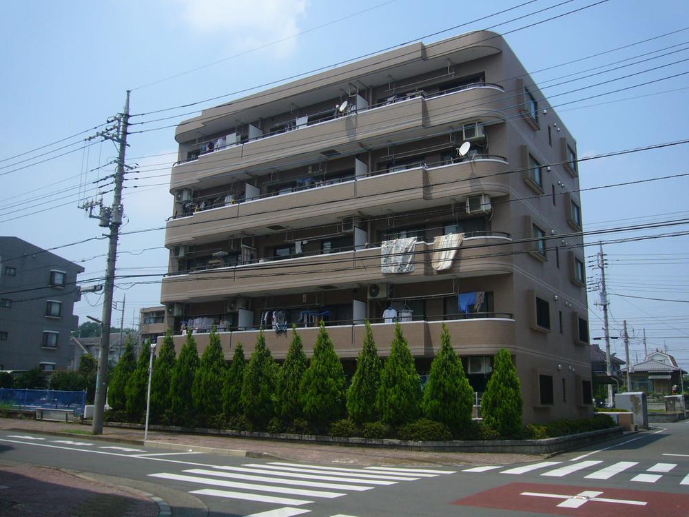 Local appearance photo. Local (July 2013) Shooting