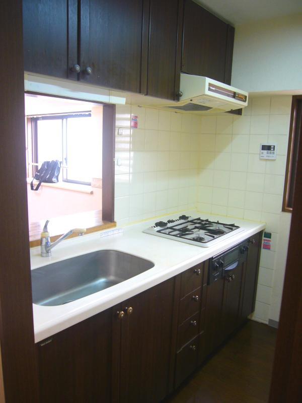 Kitchen. Indoor (10 May 2013) Shooting