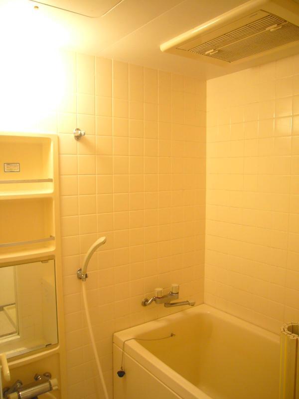 Bathroom. Indoor (10 May 2013) Shooting