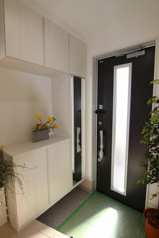 Other introspection. Entrance