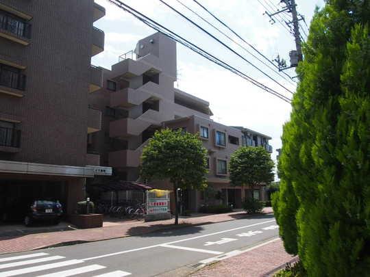 Other local. Frontal road