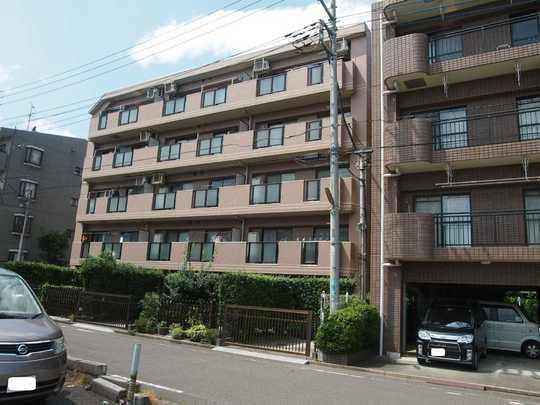 Local appearance photo. Redjionsu Xiaoping appearance