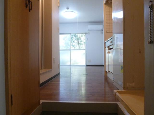Entrance. The view from the front door