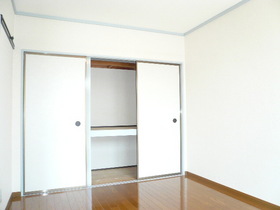 Other. Western-style (reference photograph)