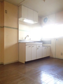 Kitchen. Two-burner gas stove installation Allowed Kitchen ☆