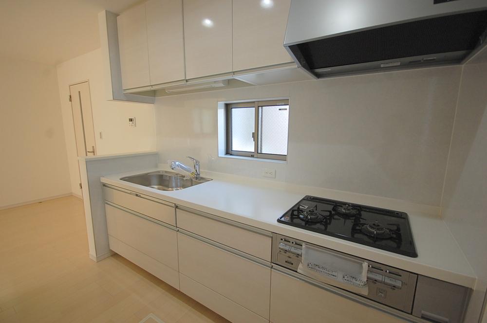 Kitchen. Local Photos