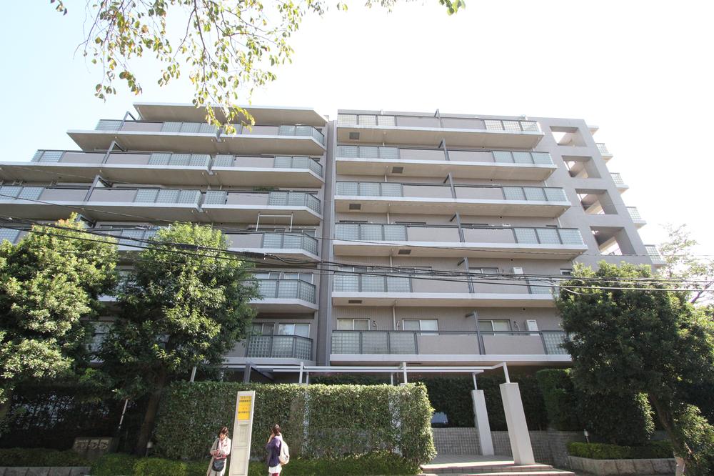 Local appearance photo. local