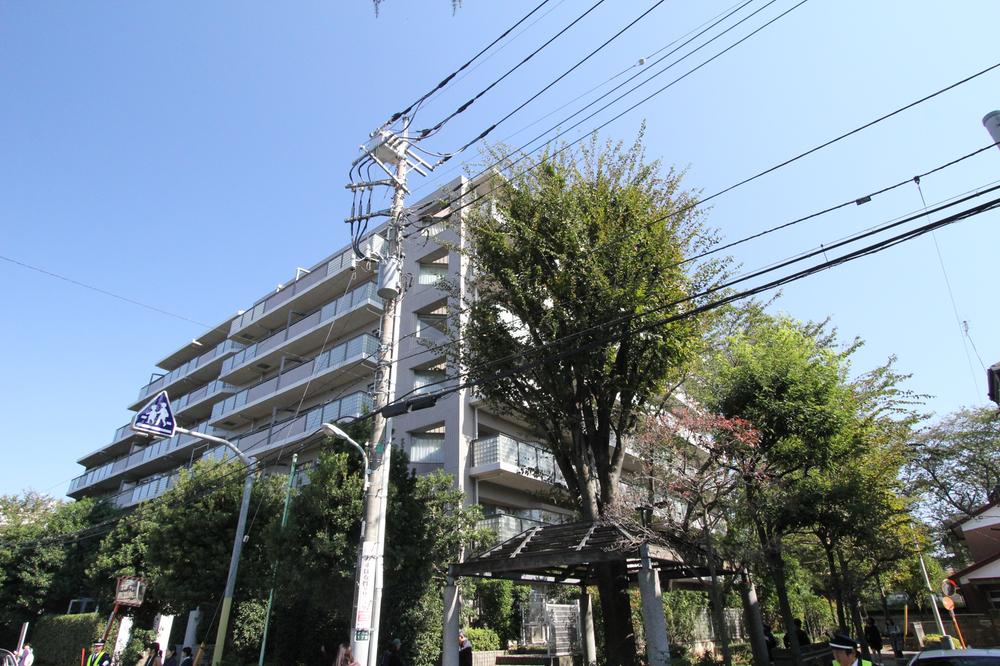 Local appearance photo. local