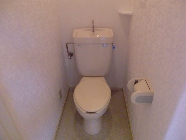 Toilet. Toilet
