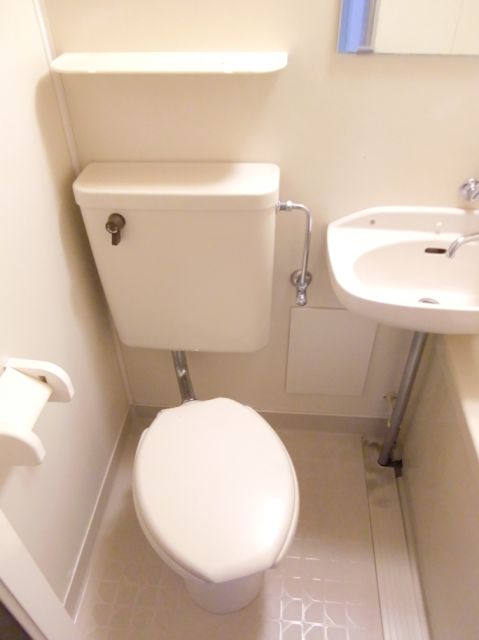 Toilet. Toilet