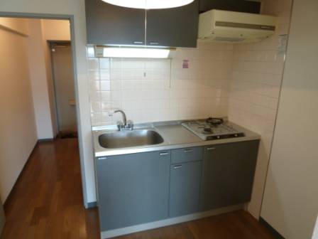 Kitchen. Wide and clean kitchen