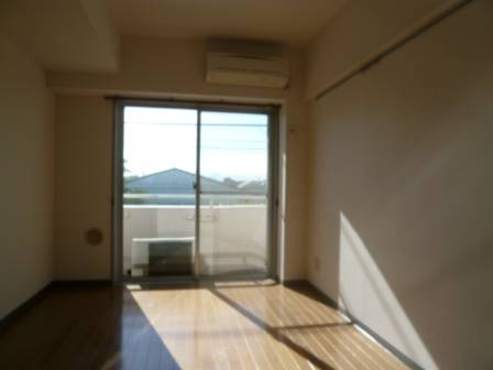 Living and room. Clean flooring